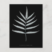 Fern – ポリポディウムグランディデンズ – X線効果 – 10 ポストカード (正面)