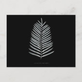 Fern – ポリポディウムヘンチマニイ – X線効果 – 07 ポストカード (正面)