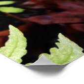 Fern by StoneWall ポスター (角)