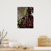 Fern by StoneWall ポスター (キッチン)