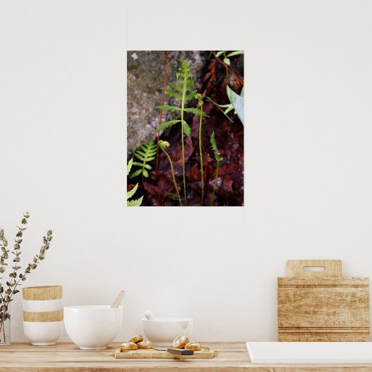 Fern by StoneWall ポスター (キッチン)