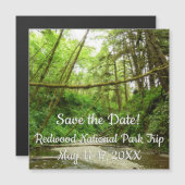 Fern Canyon I at Redwood National Park (正面/裏面)