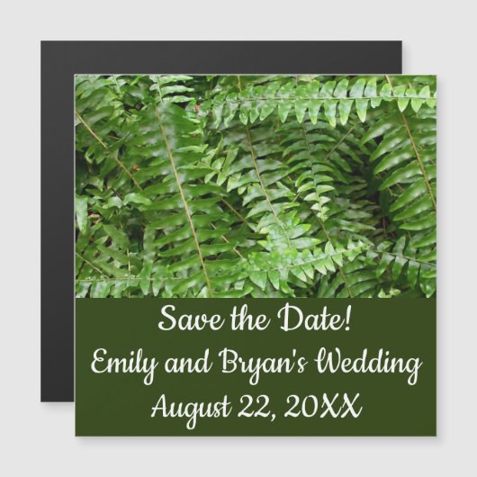 Fern Fronds I Green Nature (正面/裏面)