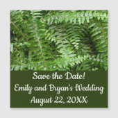 Fern Fronds I Green Nature (正面)