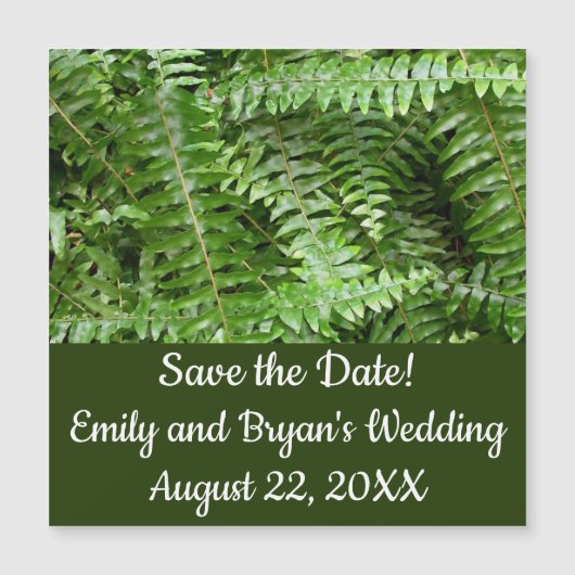 Fern Fronds I Green Nature (正面)