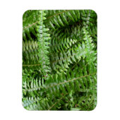 Fern Fronds I Green Nature マグネット (縦)
