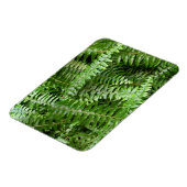 Fern Fronds I Green Nature マグネット (左側)