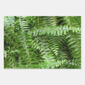 Fern Fronds I Green Nature ラッピングペーパーシート (正面3)