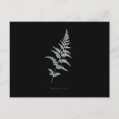 Fern - Gymnogramma Sulphurea - X線効果 – 03 ポストカード (正面)