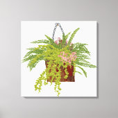 Fern Ivy Hanging Plant Botanical Illustration Art  キャンバスプリント (正面)