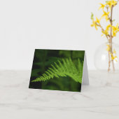 Fern P6597カード カード (黄色い花)