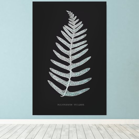 Fern - Polypodyum Vulgare - X線効果 – 09 キャンバスプリント (インサイチュ (ウッドフロア))