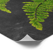 Fern sign w/ Chalkboard Background no. 5 ポスター (角)