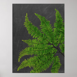 Fern sign w/ Chalkboard Background no. 5 ポスター