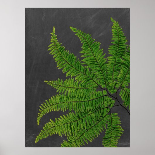 Fern sign w/ Chalkboard Background no. 5 ポスター (正面)