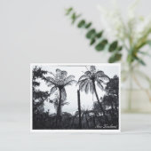 Fern Tree Forest、自然、ニュージーランド  ポストカード (スタンド正面)