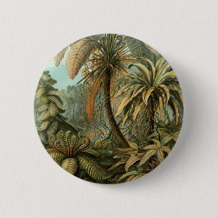Ferns Palm Tree Antique Botanical Ferns Art 缶バッジ