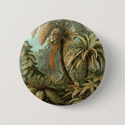 Ferns Palm Tree Antique Botanical Ferns Art 缶バッジ (正面)