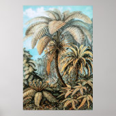 Ferns Vintage Plants by Ernst Haeckel ポスター (正面)