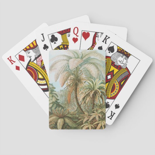 Fernst, Filicinae Laubfarne著Ernst Haeckel トランプ (裏面)