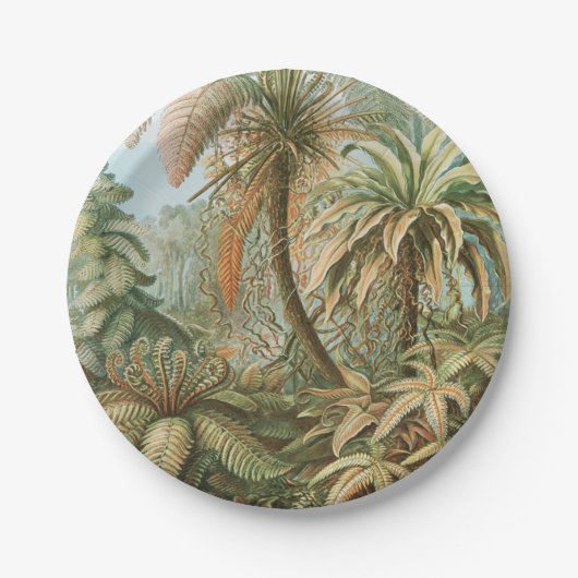 Fernst, Filicinae Laubfarne著Ernst Haeckel ペーパープレート (正面)