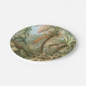 Fernst, Filicinae Laubfarne著Ernst Haeckel ペーパープレート (アングル)