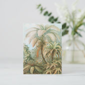 Fernst, Filicinae Laubfarne著Ernst Haeckel ポストカード (スタンド正面)