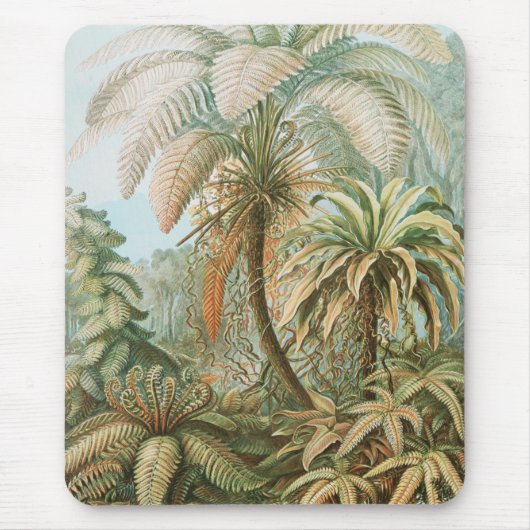 Fernst, Filicinae Laubfarne著Ernst Haeckel マウスパッド (正面)