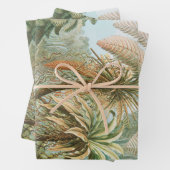 Fernst, Filicinae Laubfarne著Ernst Haeckel ラッピングペーパーシート (インサイチュ)