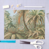 Fernst, Filicinae Laubfarne著Ernst Haeckel 薄葉紙 (クラフト)