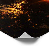 Ferntree gully sun twinkleポスター ポスター (角)