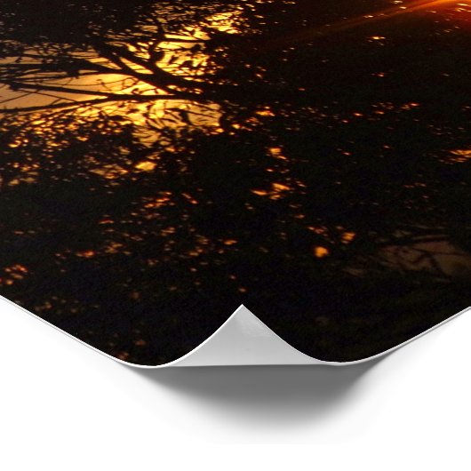 Ferntree gully sun twinkleポスター ポスター (角)