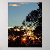 Ferntree gully sun twinkleポスター ポスター (正面)