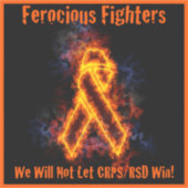 Ferocious Fightersロゴビニルデカール シール (正面)