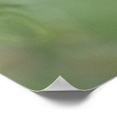 Ferruginous Pygmy-Owl, Glautidium brasilianum, 3 ポスター (角)