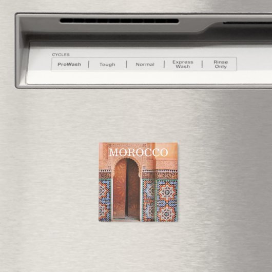 fesドアモロッコ マグネット (インサイチュ (食洗機))