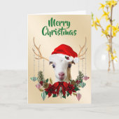 Festive Christmas LaMancha Goat Kid カード (黄色い花)