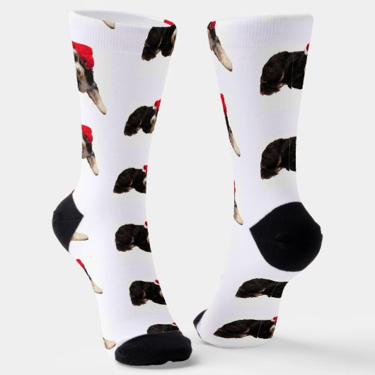 Festive & cute bernedoodle wearing a Santa hat ソックス (傾斜あり)