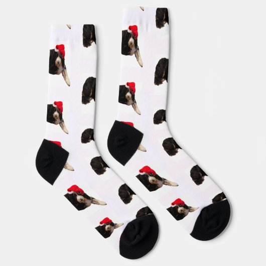 Festive & cute bernedoodle wearing a Santa hat ソックス (右)