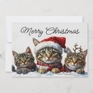 Festive Whiskers in the Snow シーズンカード