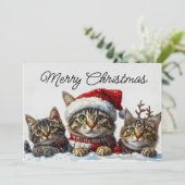 Festive Whiskers in the Snow シーズンカード (スタンド正面)