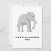 Fête de bienvenue du petit éléphant 招待状 (正面)