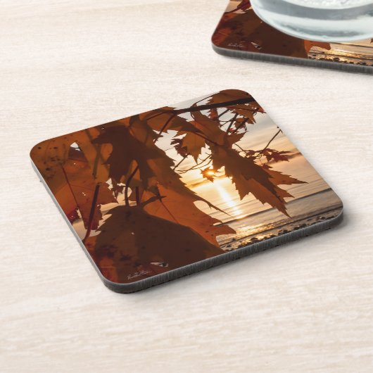 feuille d'érables コースター (左側)