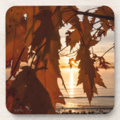 feuille d'érables コースター (正面)