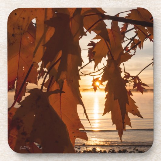 feuille d'érables コースター (正面)