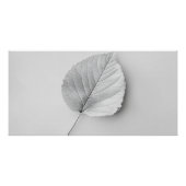 Feuille Minimaliste Monochrome ポスター (正面)