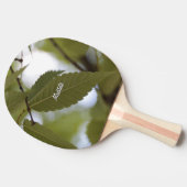 feuille verte méditer nature jardin branche photo 卓球ラケット (横)