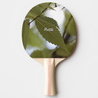 feuille verte méditer nature jardin branche photo 卓球ラケット