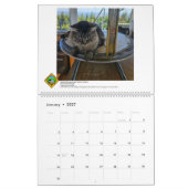 FFLA Lookout Calendar 2026 カレンダー (1月 2027)