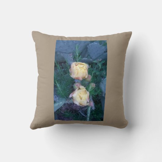 Ficoのd'India クッション (裏面)